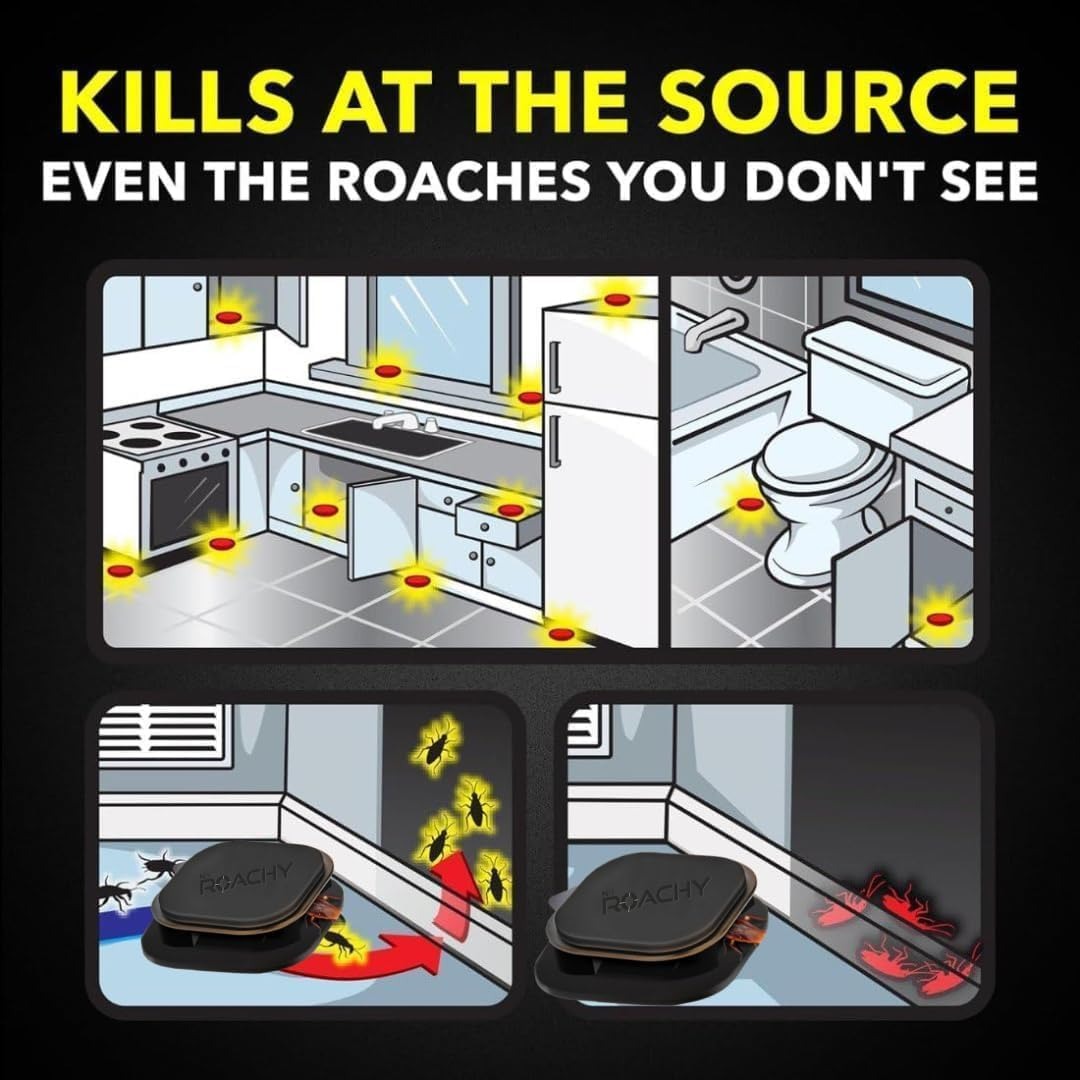 Noroachy Natural Cockroach Killer Bait for Kitchens-6 Month Combo, Bathrooms & Cabinets, Outdoor & Indoor - All in One Solution (6 Month Combo)
