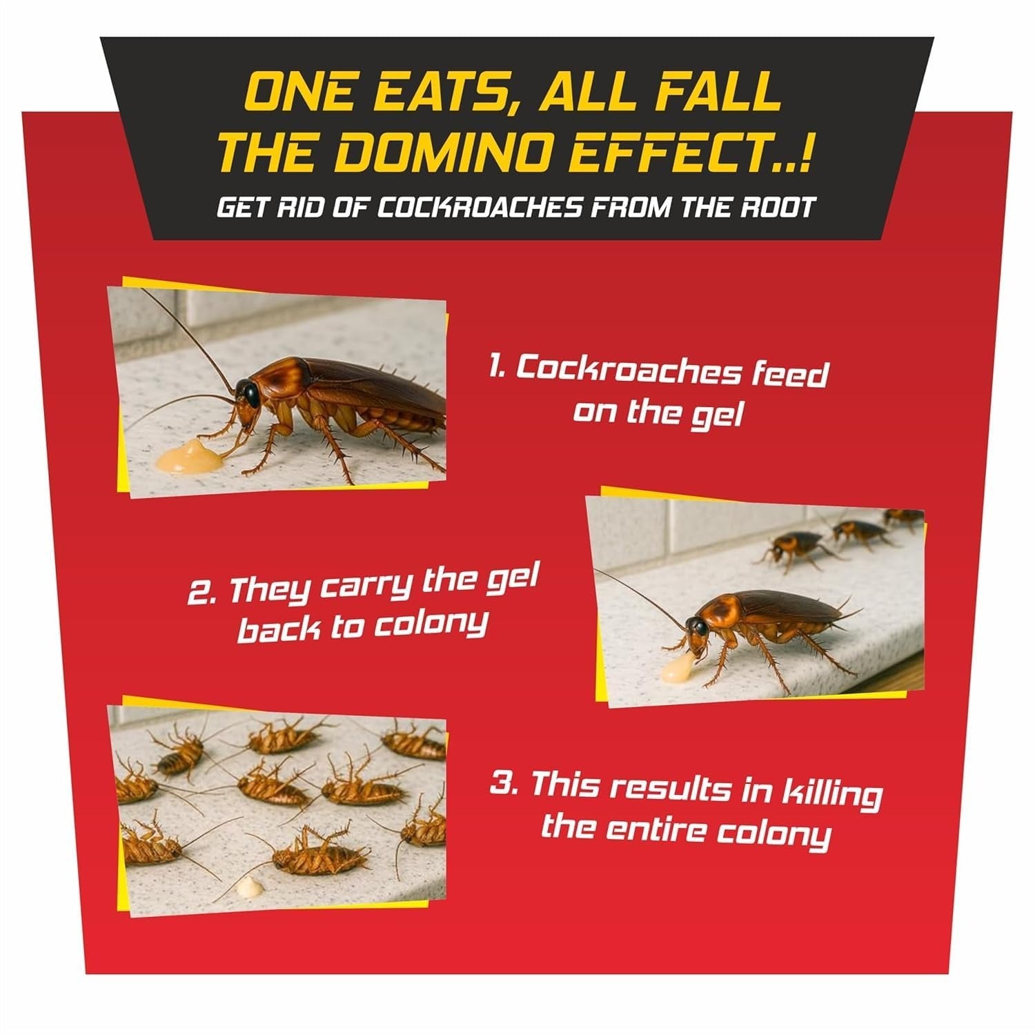 Noroachy Natural Cockroach Killer Bait for Kitchens-6 Month Combo, Bathrooms & Cabinets, Outdoor & Indoor - All in One Solution (6 Month Combo)